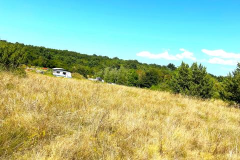 Poljoprivredna parcela,Novigrad