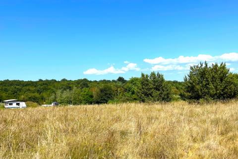 Poljoprivredna parcela,Novigrad