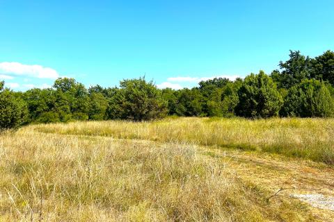 Poljoprivredna parcela,Novigrad