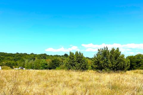 Poljoprivredna parcela,Novigrad