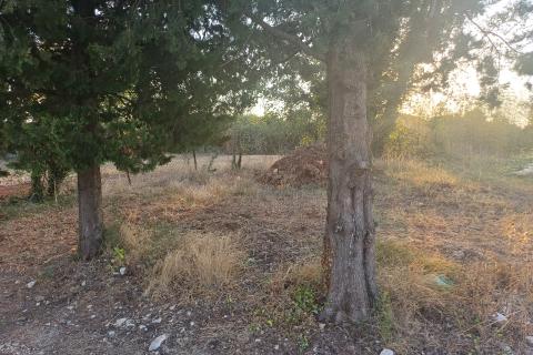 Istra, Šegotići, građevinsko zemljište 370 m2