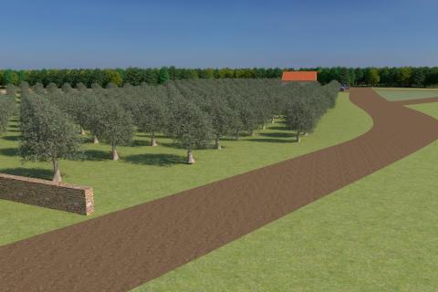 Земельный участок нестроительного назначения Bale, 12.200m2