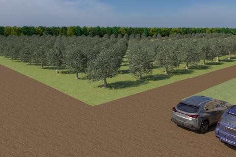 Земельный участок нестроительного назначения Bale, 12.200m2