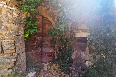 House Momjan, Buje, 640m2