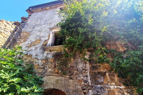 House Momjan, Buje, 640m2