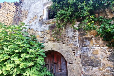 House Momjan, Buje, 640m2