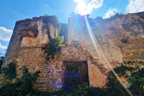 House Momjan, Buje, 640m2