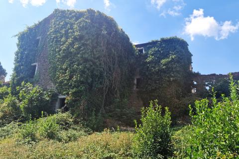 House Momjan, Buje, 640m2