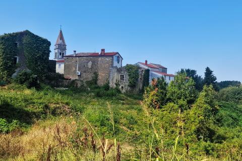 House Momjan, Buje, 640m2