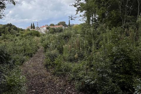 Istra, Žminj, okolica - građevinsko zemljište u manjem naselju