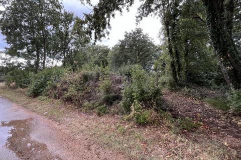 Istra, Žminj, okolica - građevinsko zemljište u manjem naselju