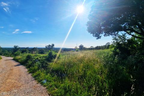 Building plot Kaštel, Buje, 5.000m2