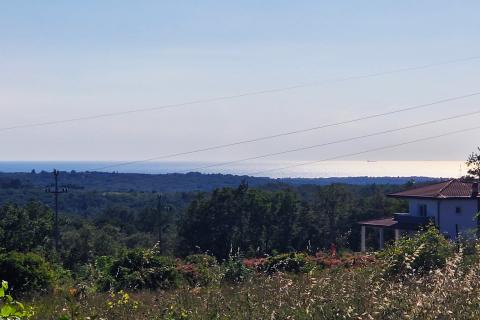 Building plot Kaštel, Buje, 5.000m2