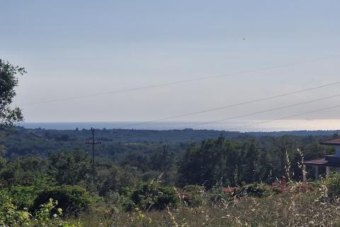 Building plot Kaštel, Buje, 5.000m2