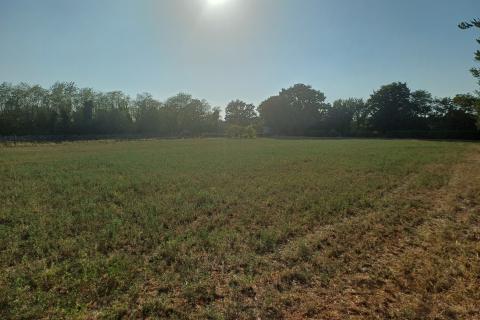 Istra, Marčana - gospodarski objekt na zemljištu od 12000 m2