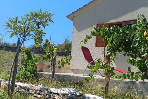 Istra, okolica Svetvinčenta, veliko zemljište, građevinsko i poljoprivredno