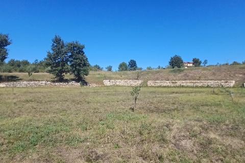 Istra, okolica Svetvinčenta, veliko zemljište, građevinsko i poljoprivredno