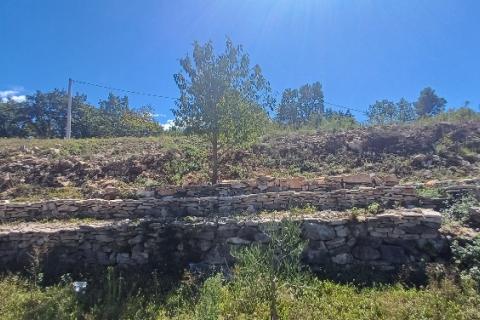 Istra, okolica Svetvinčenta, veliko zemljište, građevinsko i poljoprivredno