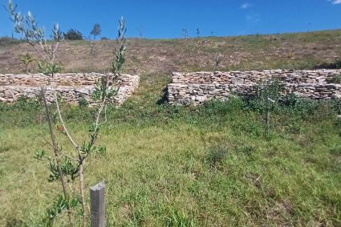 Istra, okolica Svetvinčenta, veliko zemljište, građevinsko i poljoprivredno