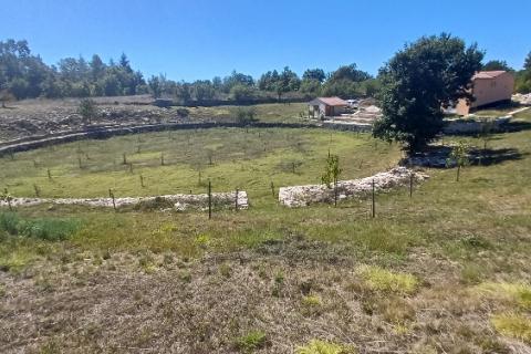 Istra, okolica Svetvinčenta, veliko zemljište, građevinsko i poljoprivredno