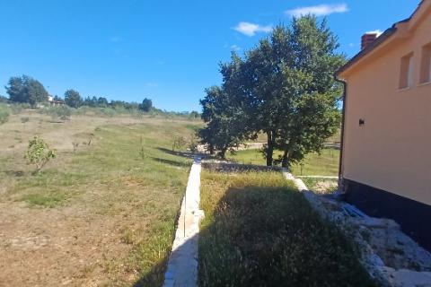 Istra, okolica Svetvinčenta, veliko zemljište, građevinsko i poljoprivredno