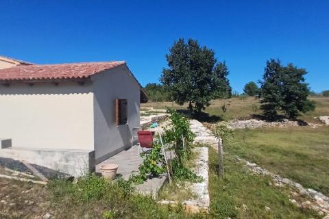 Istra, okolica Svetvinčenta, veliko zemljište, građevinsko i poljoprivredno