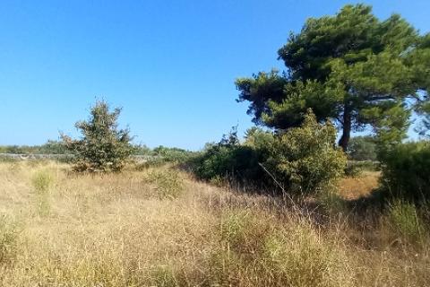 Istra, Peroj, negrađevinska parcela u blizini mora