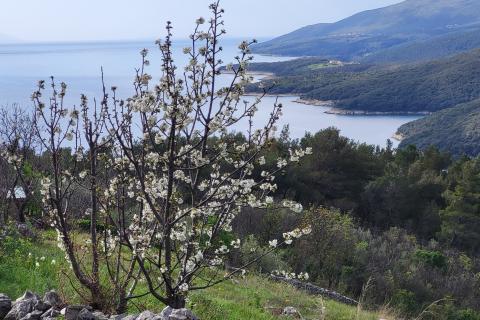 ISTRIA, RABAC - Building plot 2913 m2 with a fantastic view