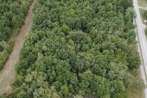 Istra, Poreč, poljoprivredno zemljište uz prometnicu