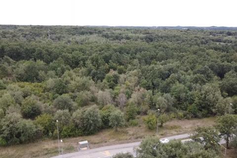 Istra, Poreč, poljoprivredno zemljište uz prometnicu