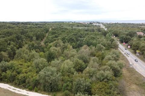 Istra, Poreč, poljoprivredno zemljište uz prometnicu