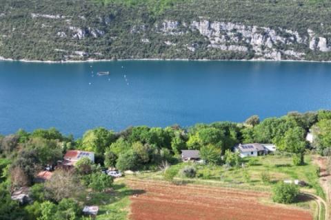 Rovinj, veliko poljoprivredno zemljište 200 metara od mora