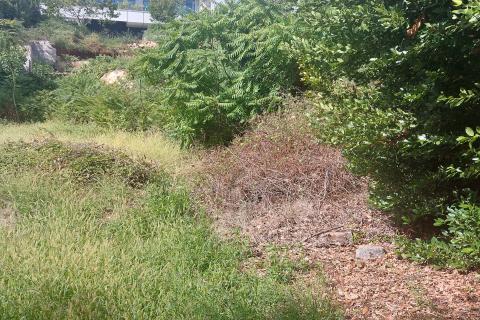 Земельный участок строительного назначения Pobri, Opatija - Okolica, 1.085m2