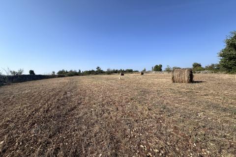 Земельный участок нестроительного назначения Šarići, Marčana, 5.217m2