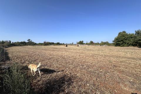 Земельный участок нестроительного назначения Šarići, Marčana, 5.217m2