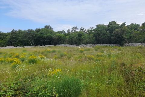 Земельный участок нестроительного назначения Rovinj, 21.206m2