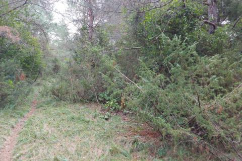 Земельный участок нестроительного назначения Šapjane, Matulji, 6.453m2