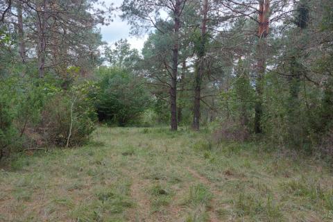 Земельный участок нестроительного назначения Šapjane, Matulji, 6.453m2