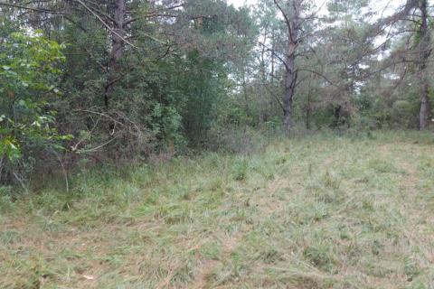 Земельный участок нестроительного назначения Šapjane, Matulji, 6.453m2