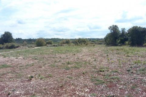 Istra, Kanfanar - građevinsko zemljište stambene namjene