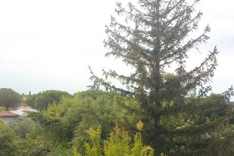 Umag, atraktivan stan 50 m od mora i plaže