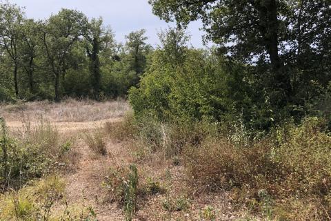 Земельный участок нестроительного назначения Peroj, Vodnjan, 735m2