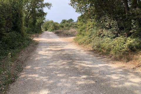 Земельный участок нестроительного назначения Peroj, Vodnjan, 735m2