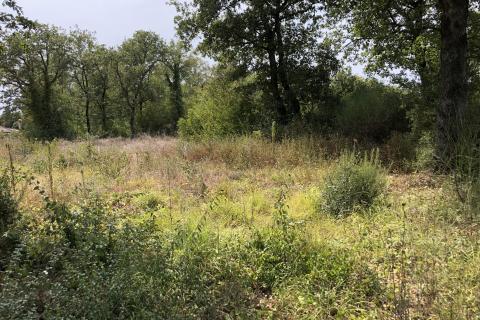 Земельный участок нестроительного назначения Peroj, Vodnjan, 735m2