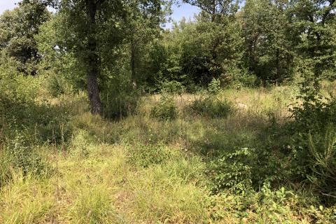 Земельный участок нестроительного назначения Peroj, Vodnjan, 735m2