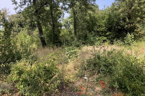 Земельный участок нестроительного назначения Peroj, Vodnjan, 735m2