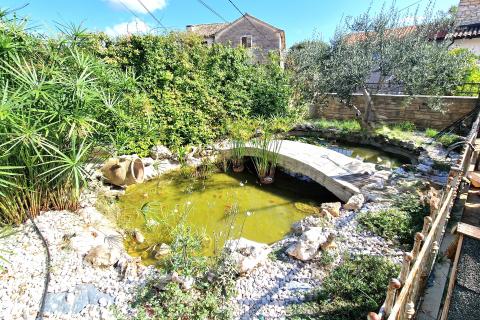 House Bibali, Buje, 261m2