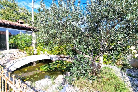 House Bibali, Buje, 261m2