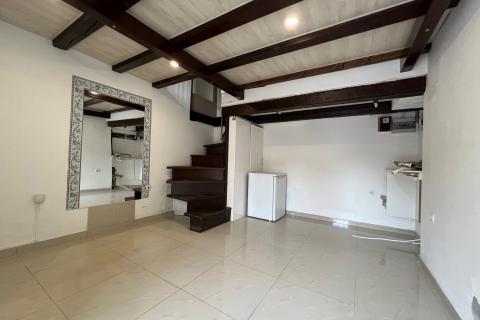 Istra,Pula - kuća sa poslovnim prostorom i dva stana