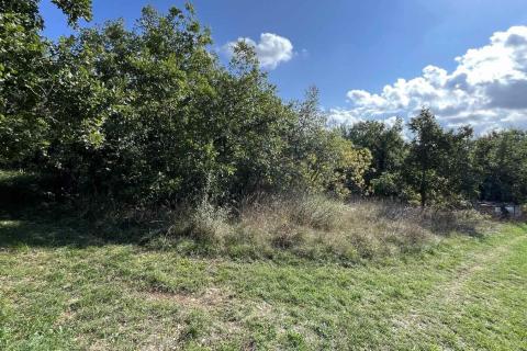 Terreno non edificabile Poreč, 1.532m2